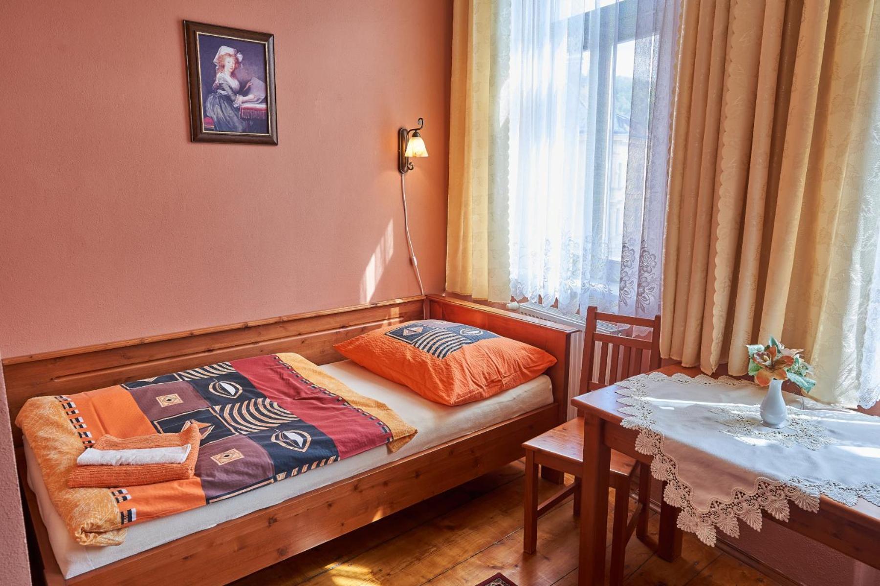 Pension Ulrika - Ubytovani Pod Hradem Loket Extérieur photo